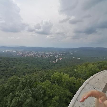 Kanyar Vendégház Pécs Esterno foto